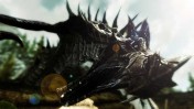 Skyrim