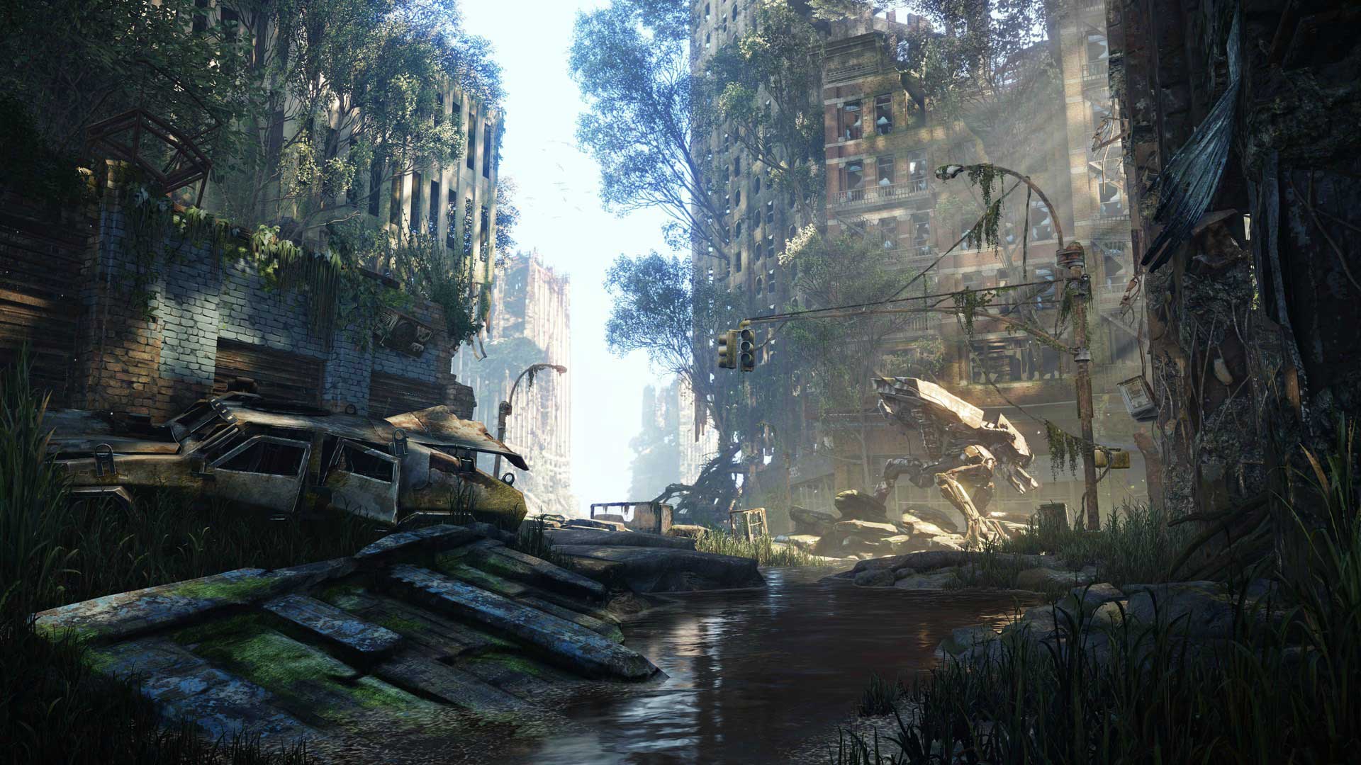 Crysis 5