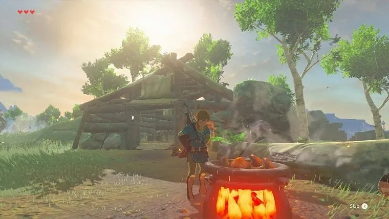 The Legend of Zelda: Breath of the Wild cooking with Link