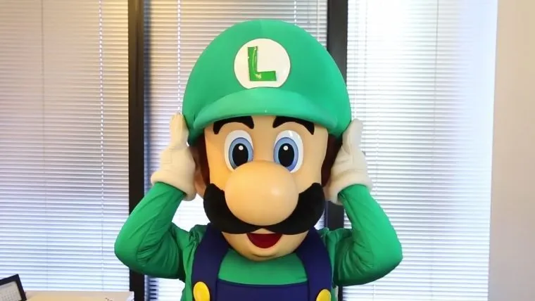 Luigi 2DS