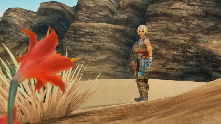 Final Fantasy XII Zodiac Age desert