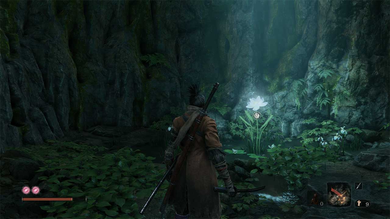 Sekiro Shadows Die Twice Where to Get The Flower For Lord Kuro Incense