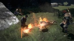 Dragon's Dogma