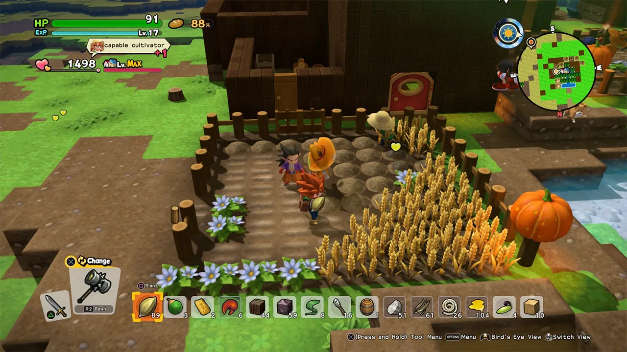dragon quest builders 2 wheatgrass seeds