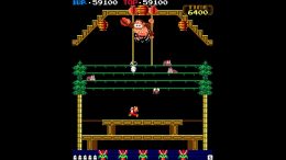 Nintendo Switch Online Donkey Kong 3