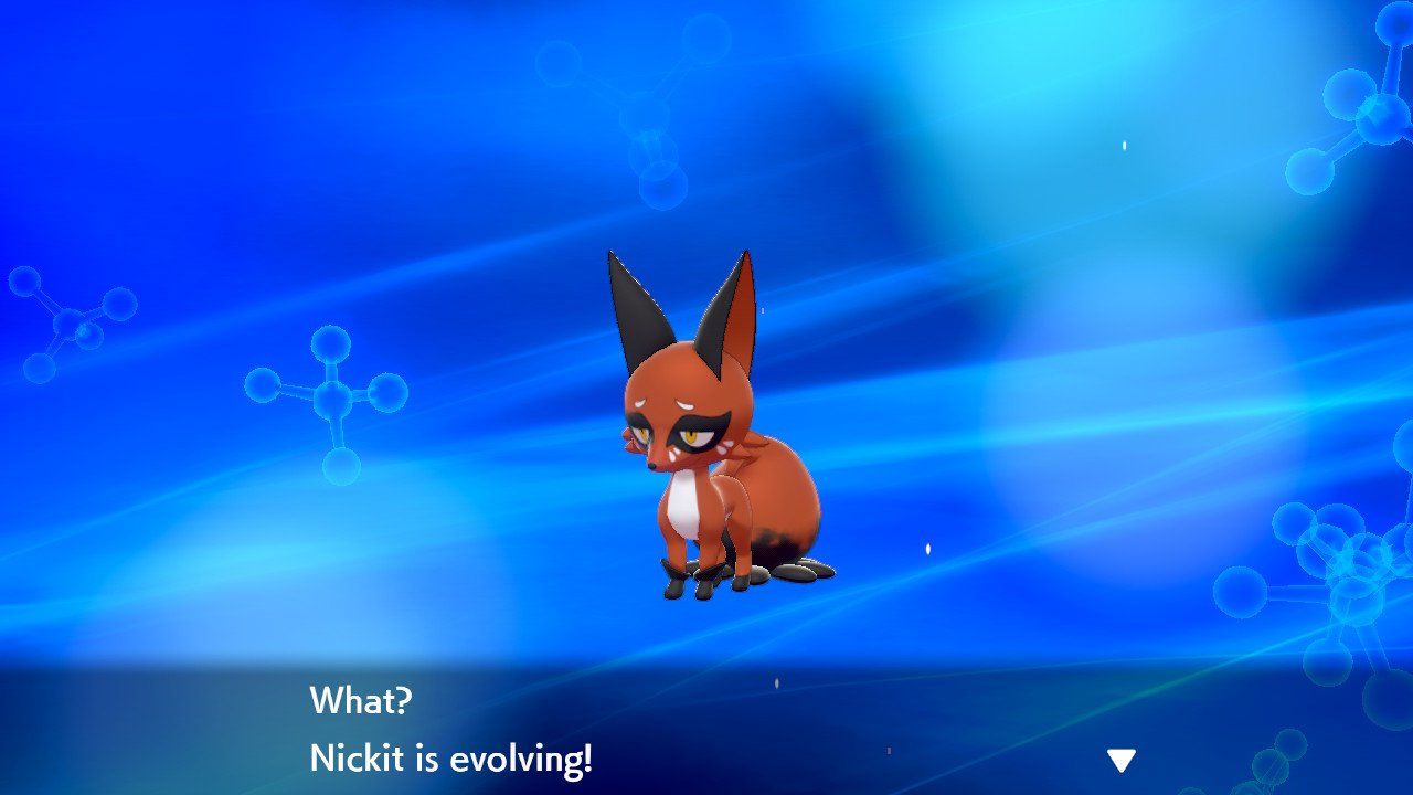 Pokemon Sword and Shield - How To Evolve Nickit Into Thievul. 