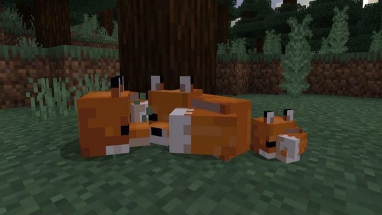 Minecraft - How to Tame Foxes | Attack of the Fanboy