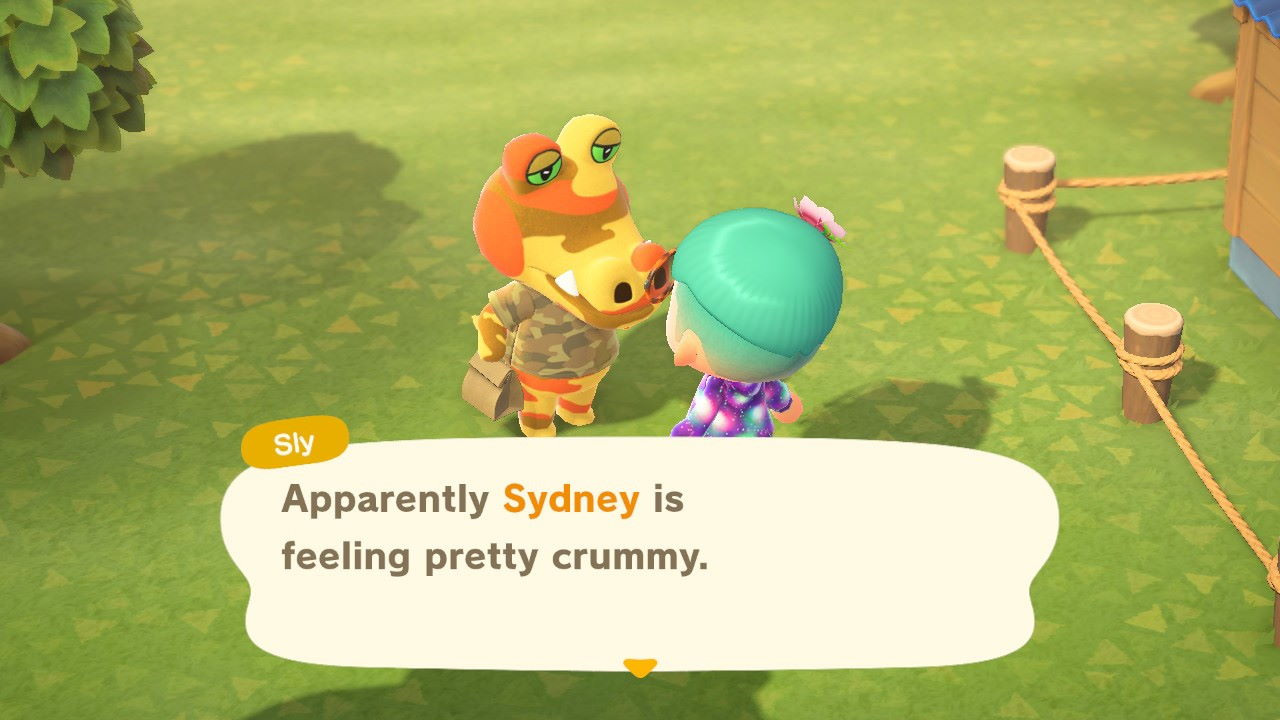 Animal Crossing New Horizons What to do for Sick Villagers Attack