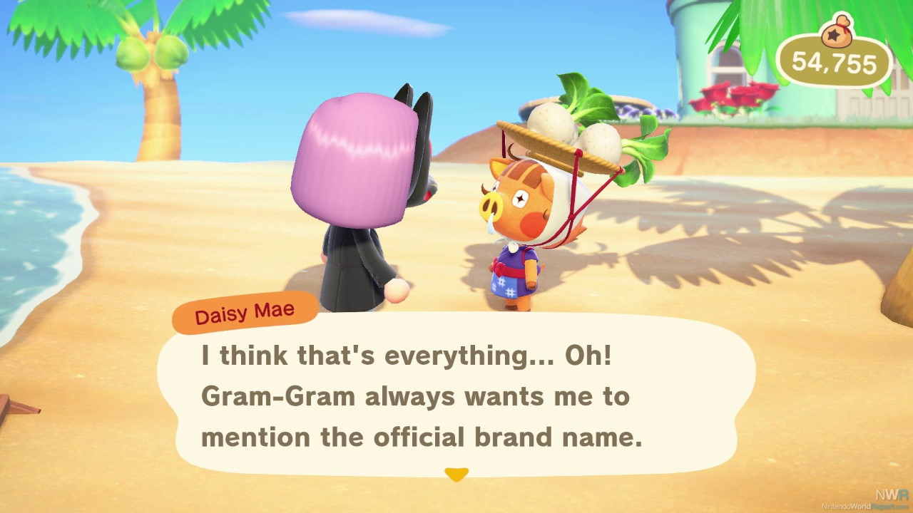 Animal Crossing New Horizons Where is Daisy Mae and What Time Can