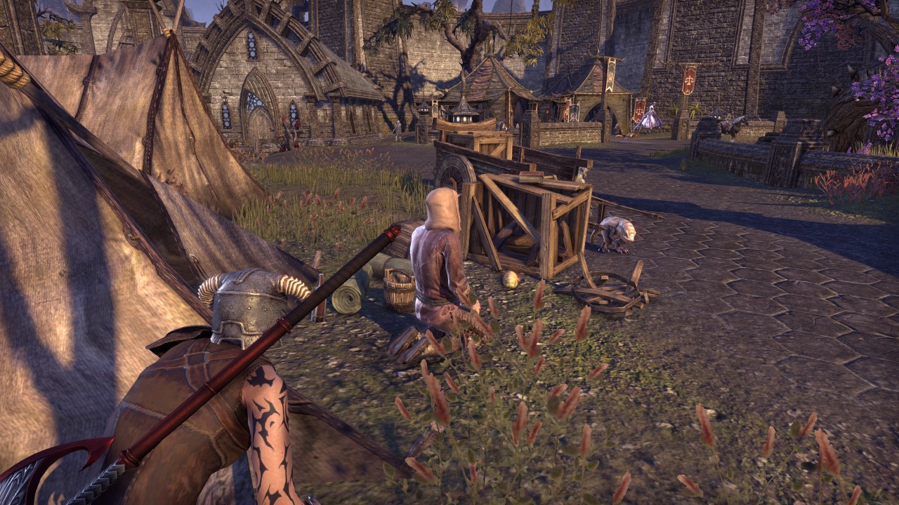 The Three Best Tips for New and Returning Players in The Elder Scrolls