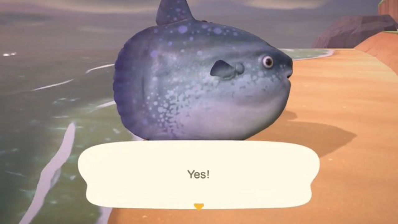 Animal Crossing New Horizons How to Catch Ocean Sunfish