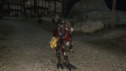 Final Fantasy XIV - How to Unlock Chocobo Mount, Where to Unlock My Little Chocobo