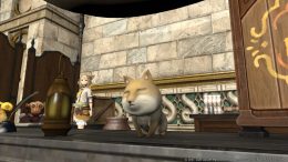 Final Fantasy XIV - How to Unlock Faux Hollows, How Does Faux Hollows Work