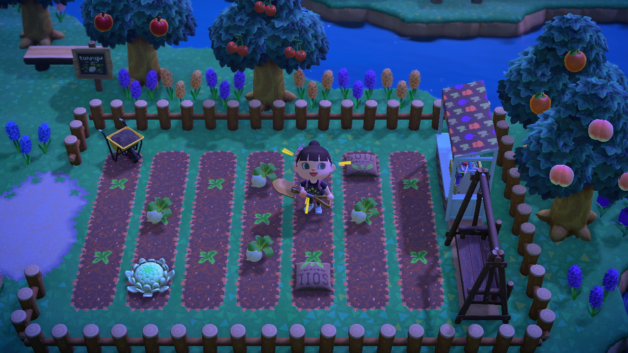 How to Corner the Stalkmarket in Animal Crossing New Horizons A Guide