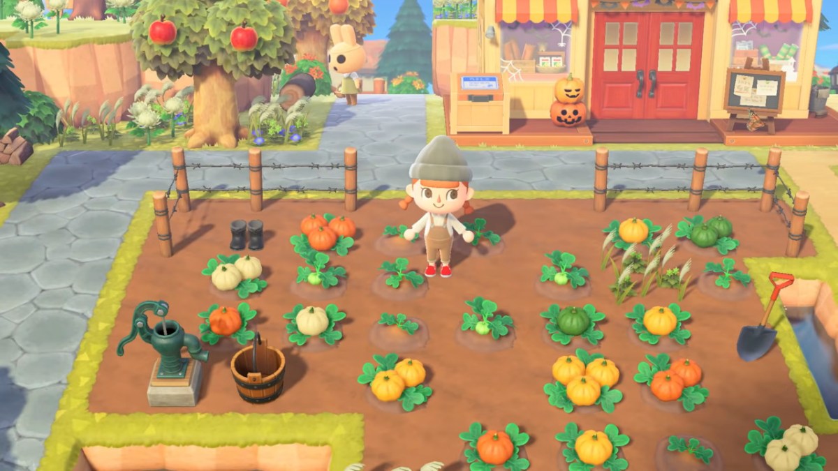 Animal Crossing New Horizons Pumpkins