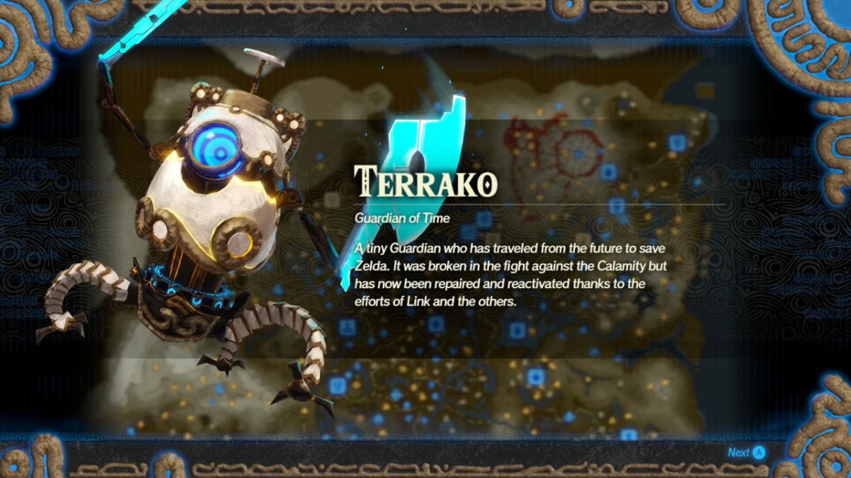 Hyrule Warriors Age of Calamity Terrako
