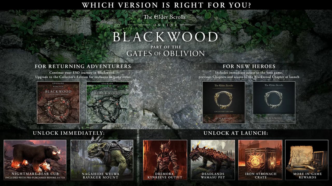 Elder Scrolls Online Blackwood Purchase and PreOrder Guide Which