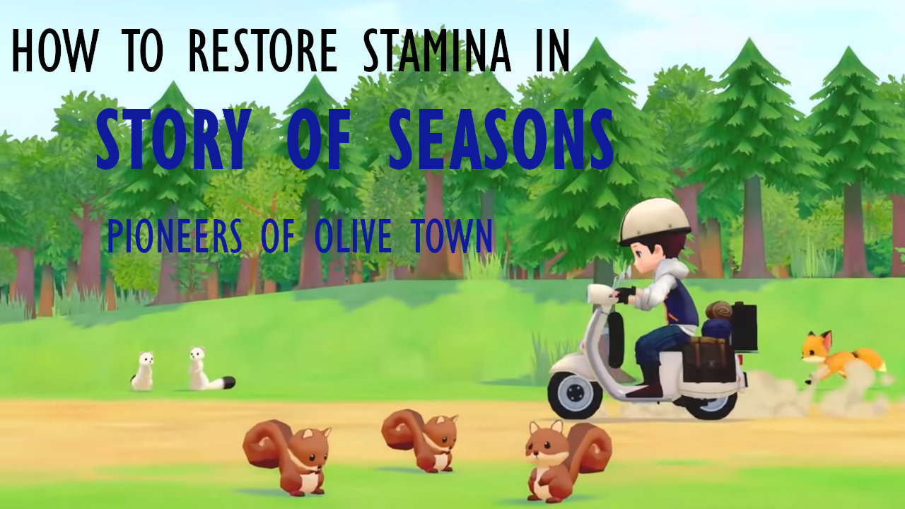 story of seasons pioneers of olive town plush