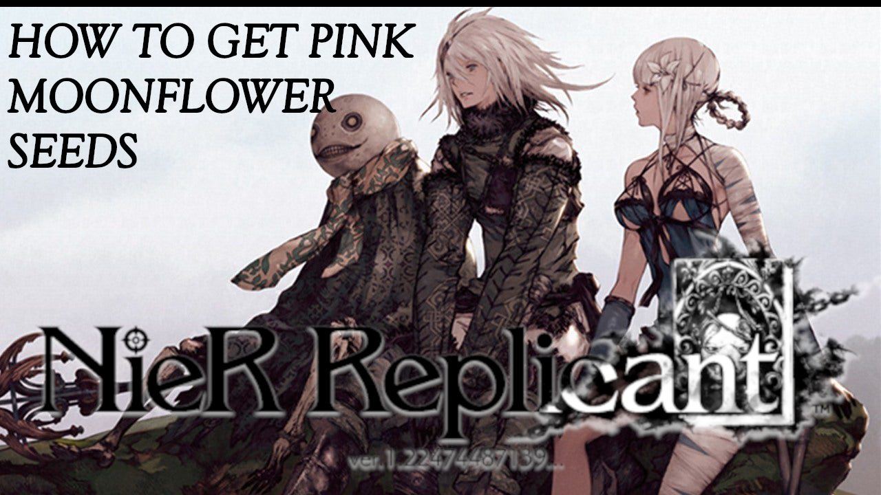 Nier Replicant How to Get Pink Moonflower Seeds Attack of the Fanboy