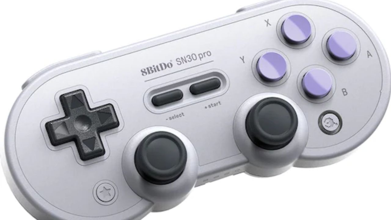 Nintendo-Switch-8BitDo-Sn30-Pro-Dog-Bone