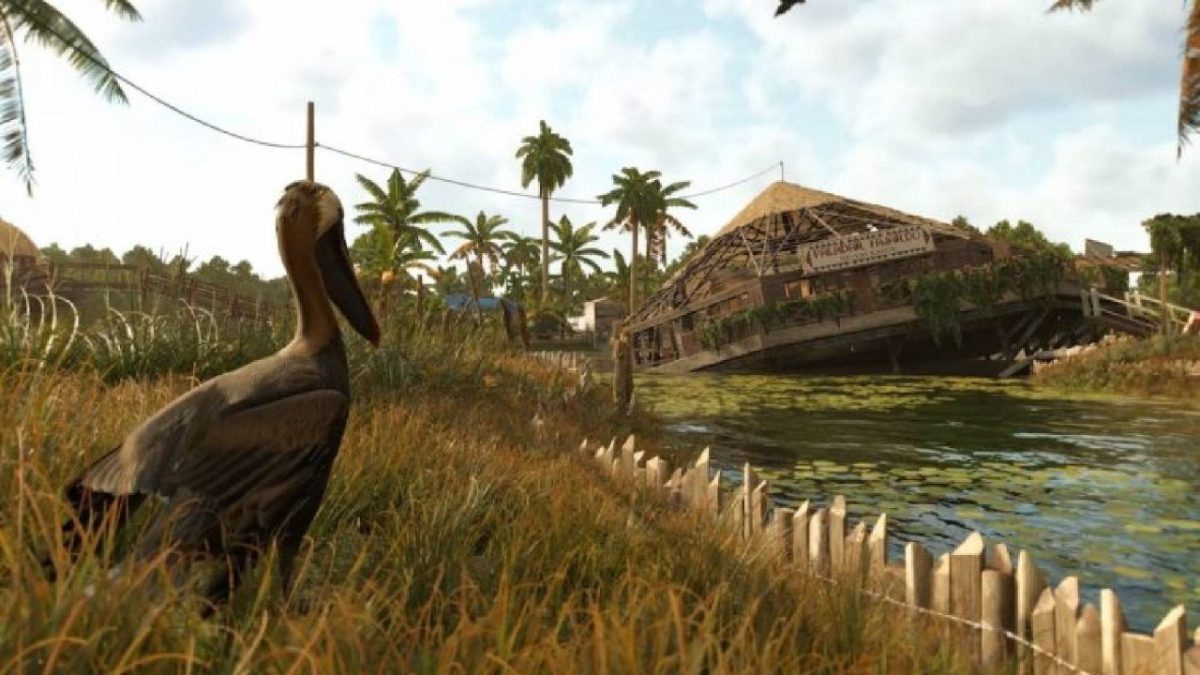 Far Cry 6 pelicans