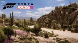 Forza Horizon 5 Drone Mode