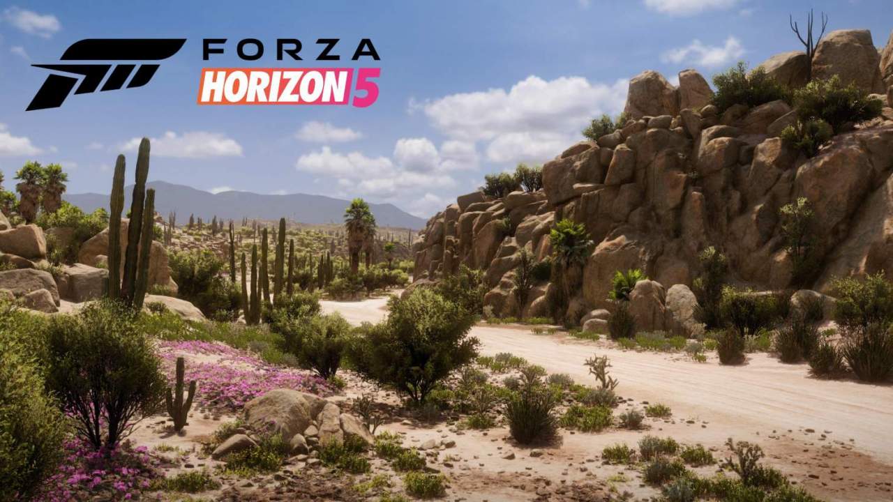 Forza Horizon 5 Drone Mode