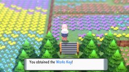 Pokemon Brilliant Diamond and Shining Pearl Works Key
