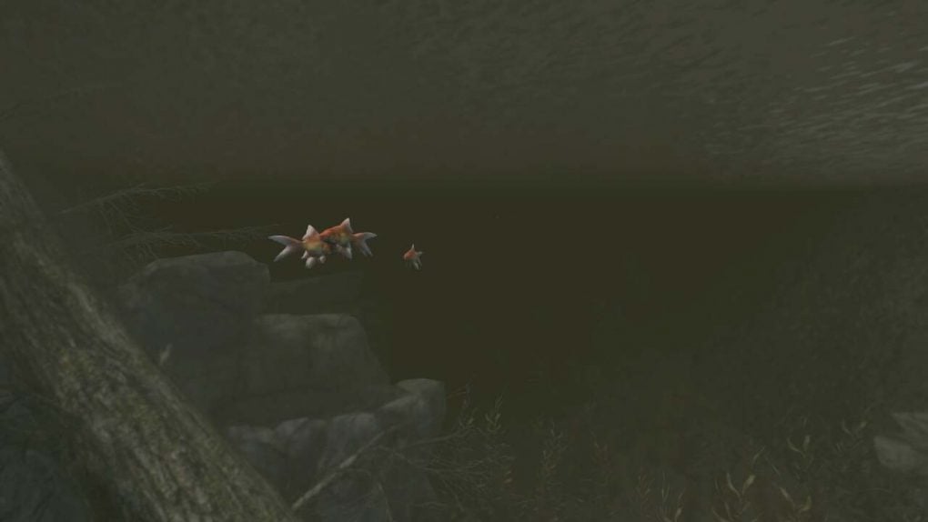 Skyrim Goldfish Location Where To Catch Goldfish Attack Of The Fanboy   Skyrim Goldfish Image 1020x574 