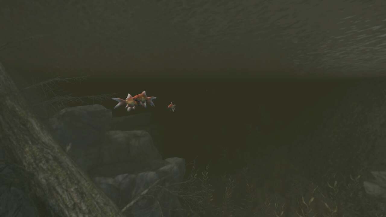 Skyrim Goldfish Location Where to Catch Goldfish Attack of the Fanboy