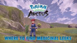 Pokemon Legends Arceus Medicinal Leeks