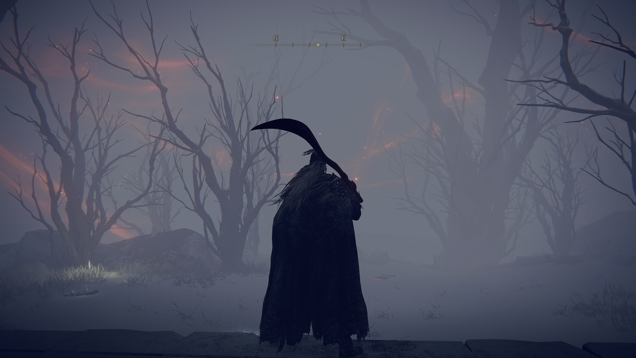 An in-game screenshot of the Forbidden lands of Elden Ring