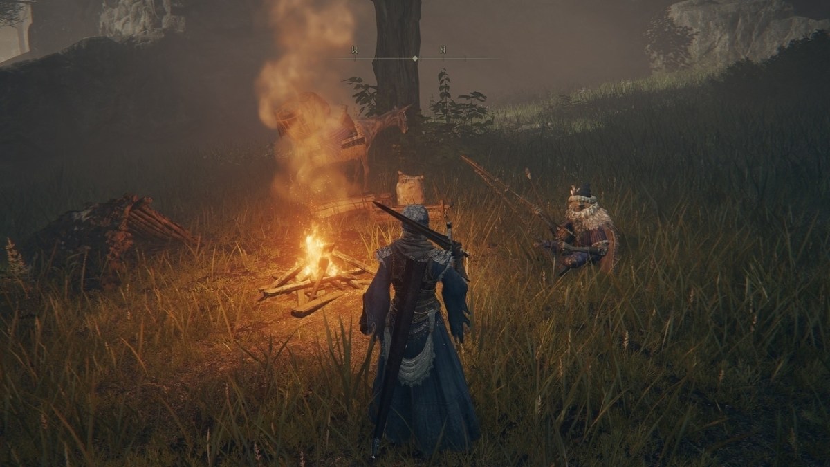 A screenshot of Mistwood Wandering Merchant in Elden Ring