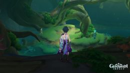 A Genshin Impact screenshot showing the location of the Shriveled Seed with an in-game screenshot.