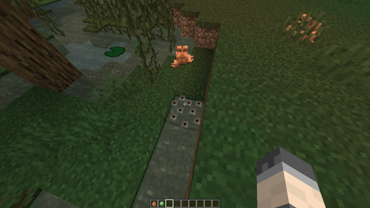 Minecraft Frog Guide: Locations, Breeding, Tadpoles, and Everything You ...
