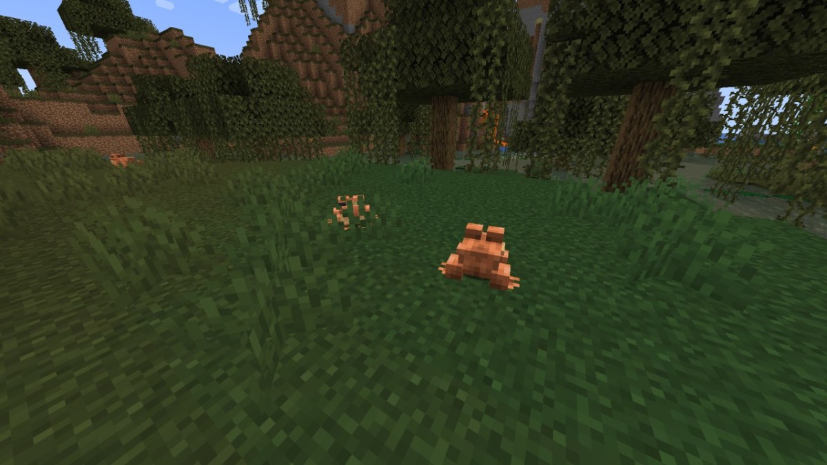 Frogs in the Swamp Biome in Minecraft