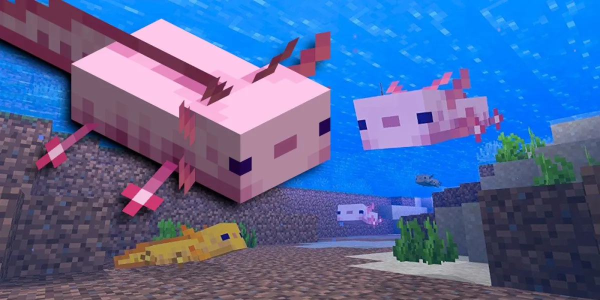 Minecraft Axolotl Guide: How to Breed and Capture | Attack of the Fanboy