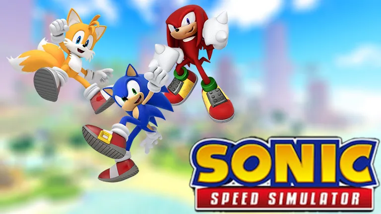 HOW TO GET ALL RIDERS CHARACTER CODES IN SONIC SPEED SIMULATOR