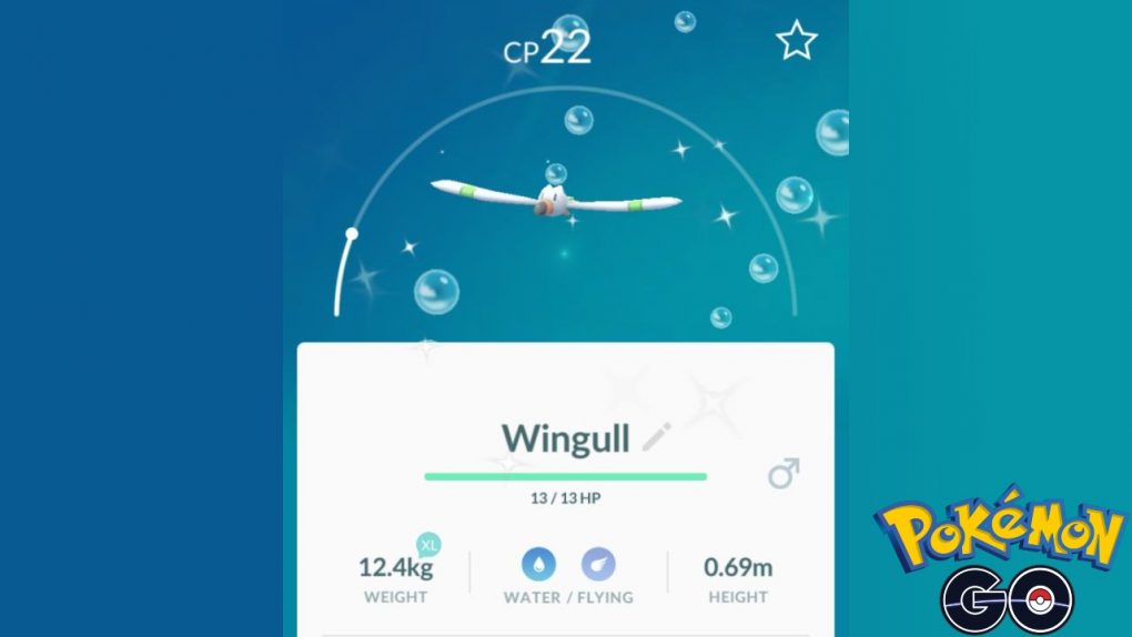 Wingul Evolution Stat Pokemon GO Wingull Spotlight Hour Guide: Can Wingull Be Shiny? | Attack ...
