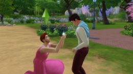 All Sims 4 Sexual Orientation and Gender Options