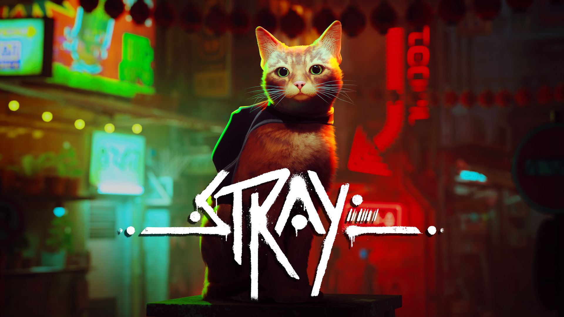 Stray-Review