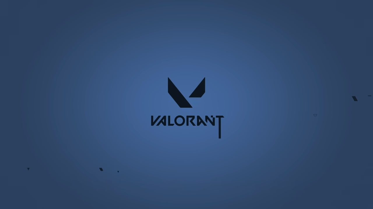 How to See Your Valorant Purchase History