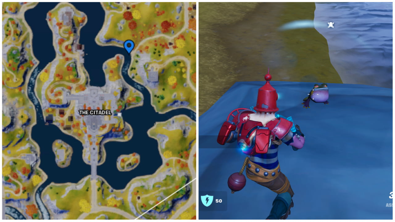 Where-to-Find-Frogs-in-Fortnite