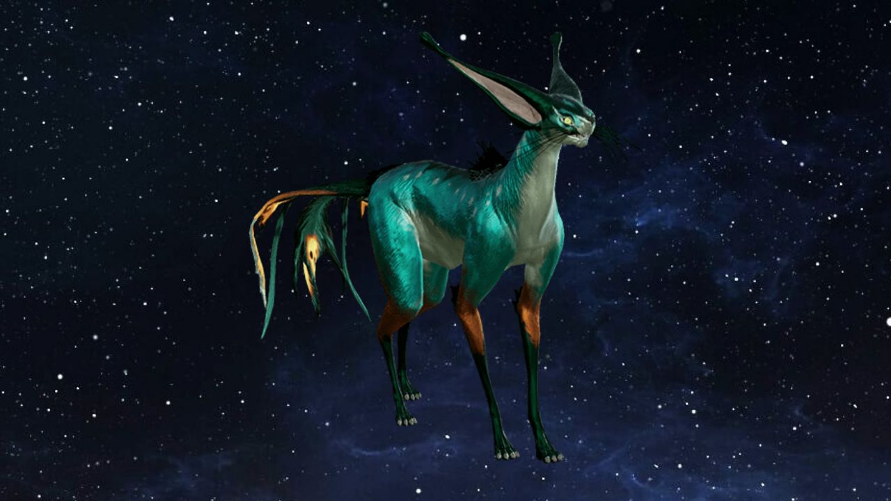 The 5 Best Companions in Warframe Attack of the Fanboy