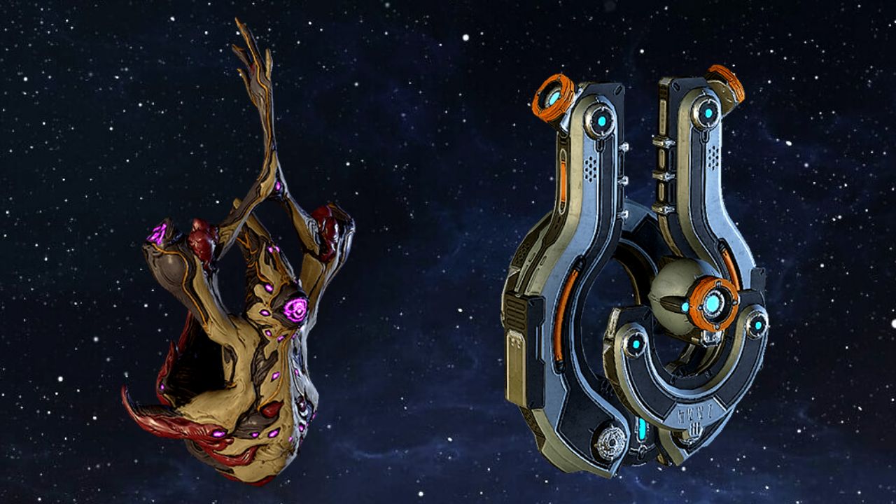 The 5 Best Companions in Warframe Attack of the Fanboy