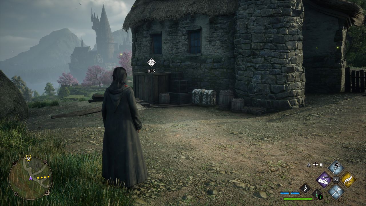 Hogwarts Legacy – Edizione Standard Per Console E PC