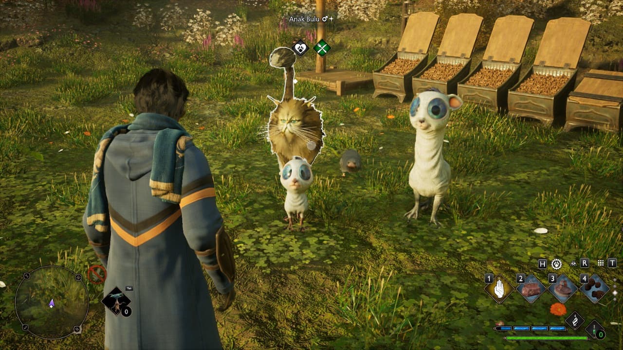 Hogwarts Legacy How to Get the Beast Feeder and How to Tame Beasts