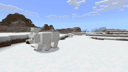 Image of Polar Bears in Minecraft.