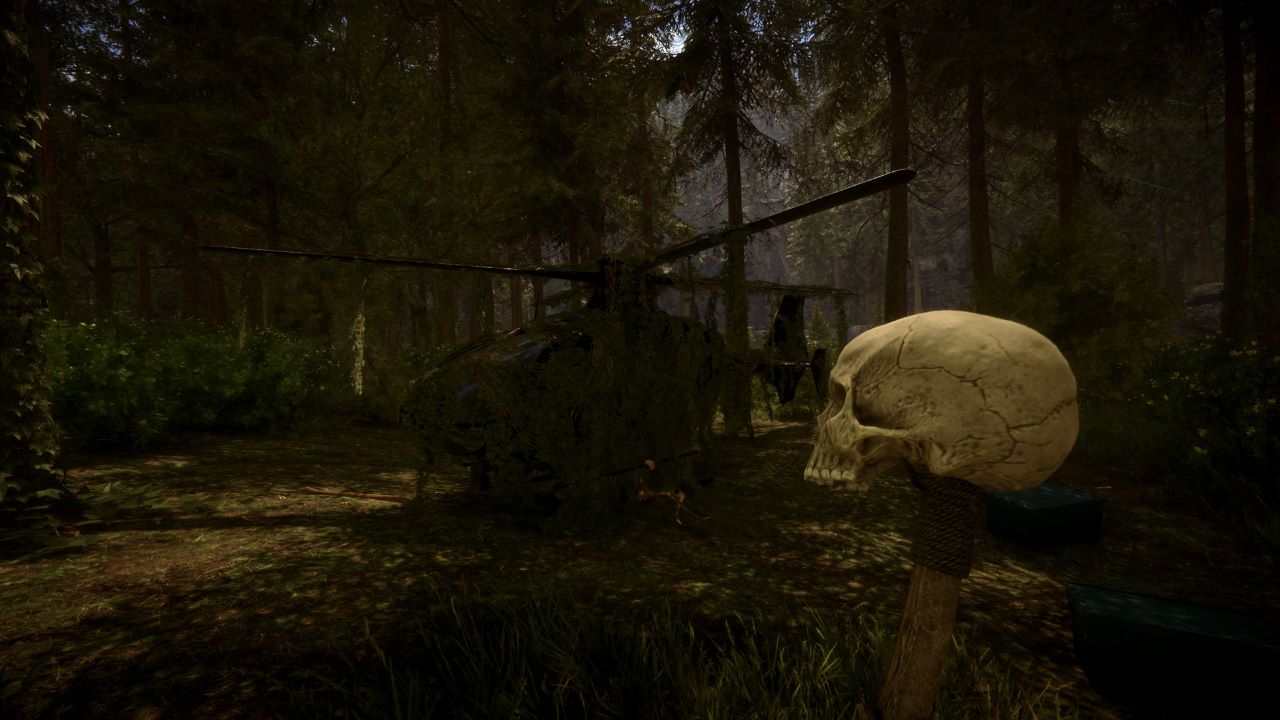 Image showcasing player holding a skull in a forest with a rusty helicopter nearby.