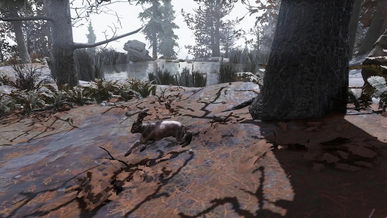 Fallout 76 Rabbit Locations, Spawns, and Farming Spots Attack of the